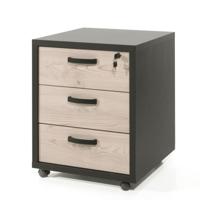 Ladeblok Spinoza - thumbnail