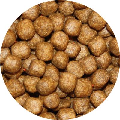 Pond Pro Super Grower Koi Visvoer 6mm - Premium Eiwitrijk Voer 10 kg