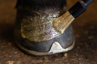 Excellent Horse Hi Gloss Glitter Hoof Polish Gold 150 ml - thumbnail