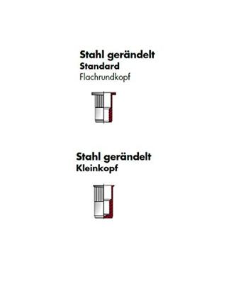 Gesipa Blindklinkmoer | blindkl.nagelsteel DxL 7 x 9,5 mm M5 | staal, verzinkte platte kop | 500 stuks - 1658768 1658768 Gesipa Blindklinkmoer | blindkl.nagelsteel DxL 7 x 9,5 mm M5 | staal, verzinkte platte kop | 500 stuks - 1658768 1658768