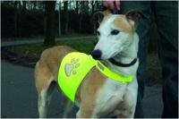 Veiligheidsvest reflecterend - Groot - thumbnail