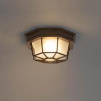 QAZQA Landelijke plafondlamp roestbruin 21,3 cm IP44 - Bri - thumbnail