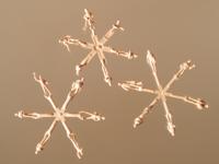 Auhagen 21 717 H0 Onderweg figuren Ongeverfd - thumbnail