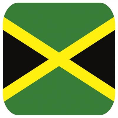 45x Onderzetters voor glazen met Jamaicaanse vlag - Bierfiltjes 45x Onderzetters voor glazen met Jamaicaanse vlag - Bierfiltjes