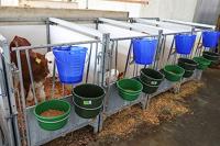 Voederschaal 8 l olijfgroen - thumbnail