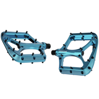 Praxis pedaal brodium aqua - thumbnail