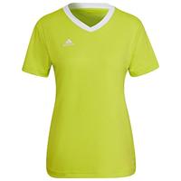 adidas Entrada 22 Voetbalshirt Dames Lichtgroen Wit - thumbnail