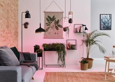 Paulmann Neordic Embla 79629 Hanglamp LED E27 20 W Zwart, Koper (mat) Paulmann Neordic Embla 79629 Hanglamp LED E27 20 W Zwart, Koper (mat)