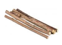 TRIXIE MATATABI KAUWSTAVEN - thumbnail