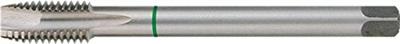 Machine tap RUKO 9 mm 10 mm Snelstaal (HSS) 20 mm ISO DIN 13 DIN 374 Soort B Machine tap RUKO 9 mm 10 mm Snelstaal (HSS) 20 mm ISO DIN 13 DIN 374 Soort B