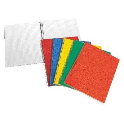 Schrift aurora 80x135mm ruit 5mm 200pag ass