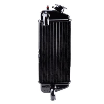 Radiateur Beta RR 50