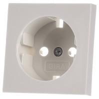 Gira inzetplaat voor wandcontactdoos met randaarde creme glanzend - thumbnail