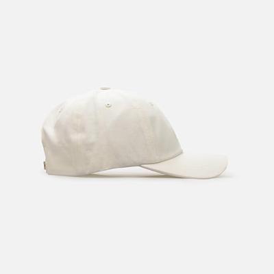 Sportcap Dickies Hardwick Cloud (Één maat)