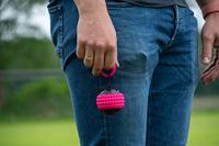 Dog Comets Blazar Jet Roze - thumbnail