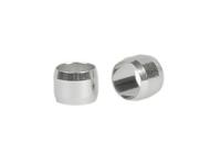 Elvedes Ds klemring hayes (10) - thumbnail