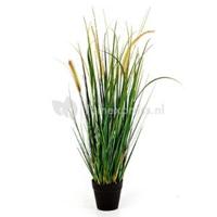 Kunstplant Foxtail wild grass M - thumbnail