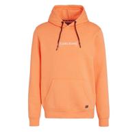 Cars hoodie Samuel met logo zalm - thumbnail