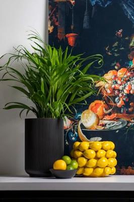 Capi Europe Vaas hoog Groove Black & Gold - 8x12 - Goud