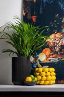 Capi Europe Vaas hoog Groove Black & Gold - 8x12 - Goud - thumbnail