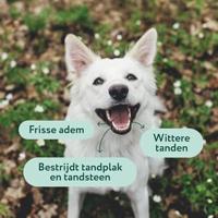 Dogsuppy Dental Bright Poeder - thumbnail