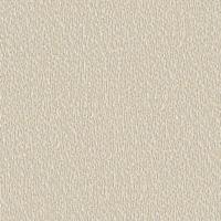 Dutch Wallcoverings Santa Fé Natures Weave - Beige - thumbnail