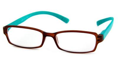 Leesbril INY Hangover G45600 Bruin / Turkoois-+2.50 Leesbril INY Hangover G45600 Bruin / Turkoois-+2.50