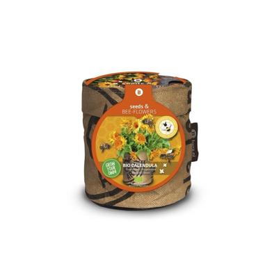 Seeds & Bee flowers goudsbloem