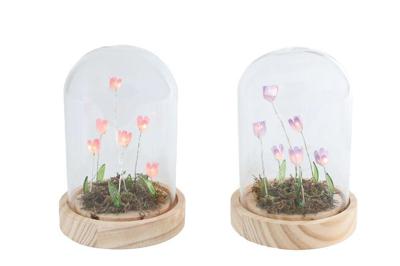 Sfeerverlichting LED Aisa paars/roze 2 assorti glas