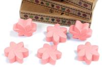 Japanse Magnolia Set van 6 Waxmelts - thumbnail