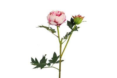 Decostar zijdebloem Paeonia D Parks 78 cm roze Decostar zijdebloem Paeonia D Parks 78 cm roze