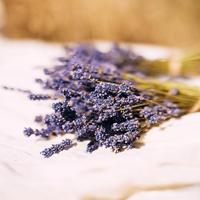 L&apos;Occitane White Lavender Shower Gel 250 ml Douche & bad - thumbnail