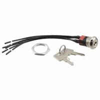 C & K Switches Y2011U2C2WCNQ Switch lock Y Series Sleutelschakelaar 125 V/AC, 28 V/DC 4 A 2x aan/aan 1 stuk(s) - thumbnail