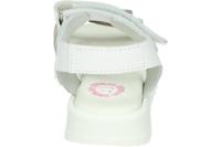 Develab 48476 - alle - thumbnail