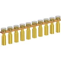 Phoenix Contact 3000191 Vaste brug 10 stuk(s)