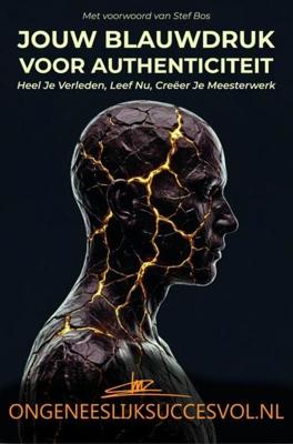 OngeneeslijkSuccesvol - Maurice Van den Hoogen - ebook