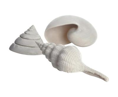 BiOrb schelp set 3 wit aquarium decoratie