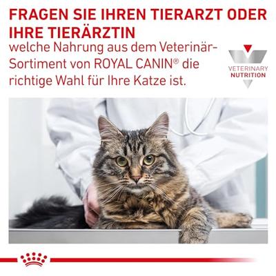 Royal Canin gastrointestinal moderate calorie kattenvoer 4kg zak