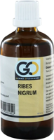 GO Ribes nigrum bio 100 Milliliter - thumbnail