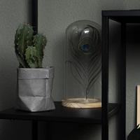 QUVIO Plantenzak uitwasbaar 7,5 x 7,5 x 12 cm (lxbxh) grijs - thumbnail