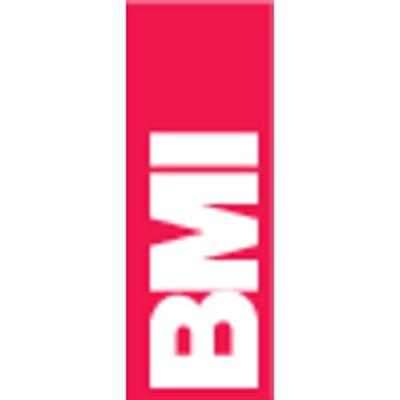 BMI 689025 TM Torpedo-waterpas 250 mm 0.5 mm/m