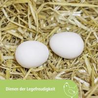Kerbl Producten/nesteieren van klei v kippen - thumbnail