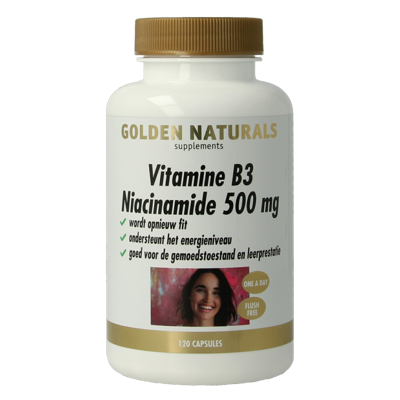 Golden Naturals Vitamine B3 Niacinamide 500 mg Capsules Golden Naturals Vitamine B3 Niacinamide 500 mg Capsules