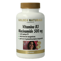 Golden Naturals Vitamine B3 Niacinamide 500 mg Capsules - thumbnail