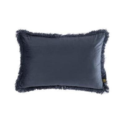 PTMD Nous Sierkussen - 60x3x40 cm - Fluweel - Blauw PTMD Nous Sierkussen - 60x3x40 cm - Fluweel - Blauw