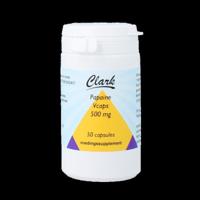 Papaine 500mg 50 Vegetarische capsules - thumbnail