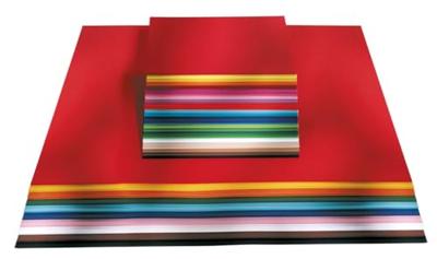 Tekenpapier Folia 50x70cm 130gram pak à 100 vel 10 kleuren Tekenpapier Folia 50x70cm 130gram pak à 100 vel 10 kleuren
