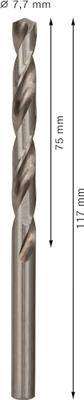Bosch Accessories 2608585505 HSS Metaal-spiraalboor 7.7 mm Gezamenlijke lengte 117 mm Geslepen DIN 338 Cilinderschacht 10 stuk(s) Bosch Accessories 2608585505 HSS Metaal-spiraalboor 7.7 mm Gezamenlijke lengte 117 mm Geslepen DIN 338 Cilinderschacht 10 stuk(s)