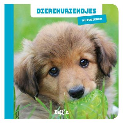 Boek Dierenvriendjes Huisdieren Boek Dierenvriendjes Huisdieren