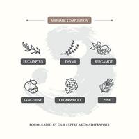 Aromafume Feng Shui Luchtverfrisser Spray Metaal - 100ml - thumbnail